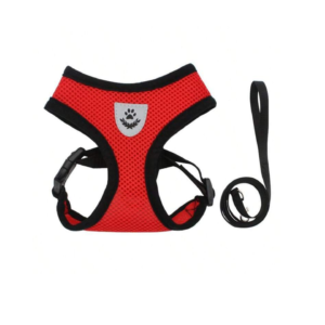 vest-style harness for cat