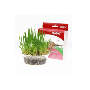 Bioline Cat Grass Kit